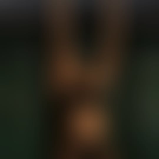 Premium 25
